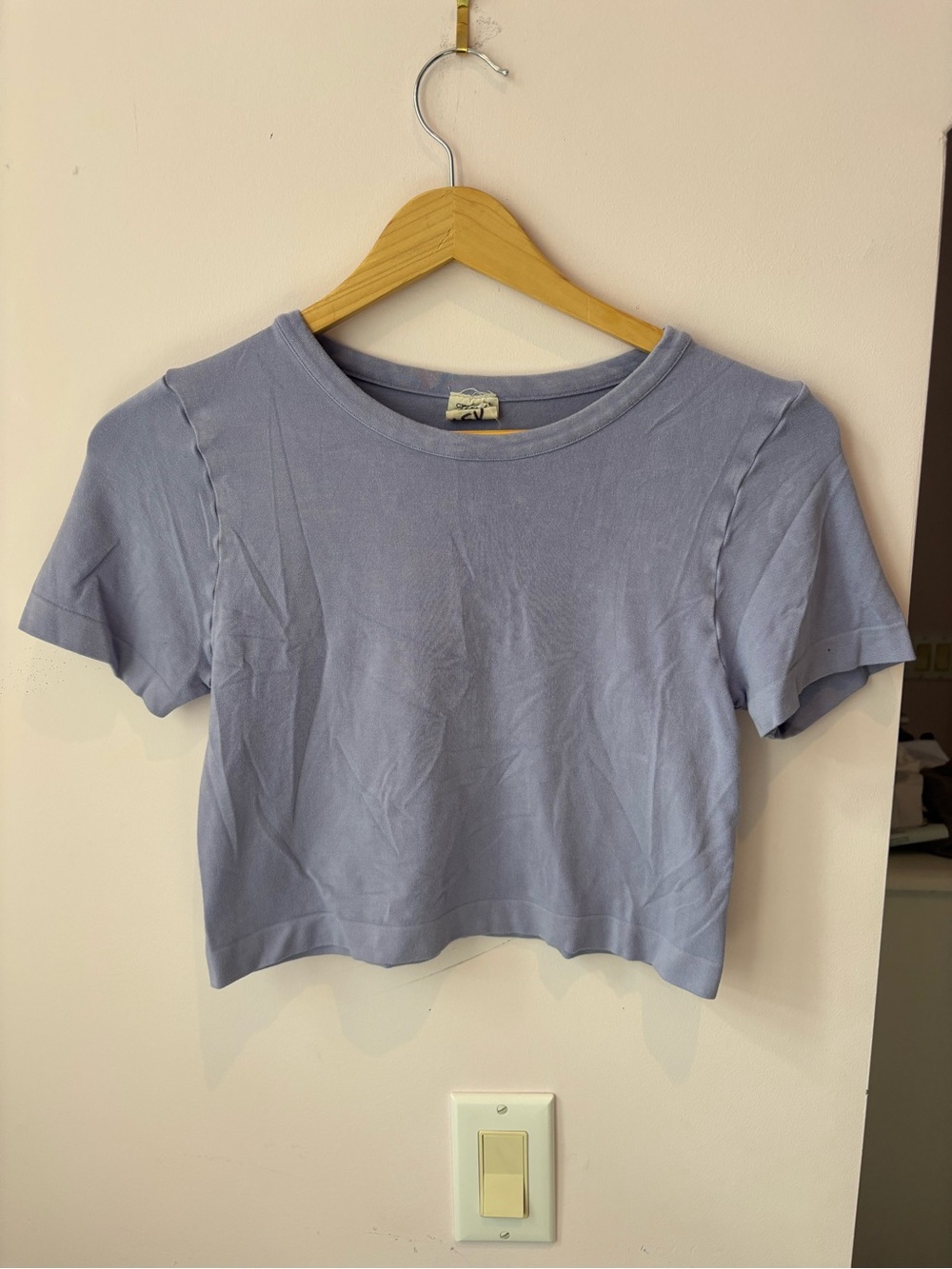 Cropped Lavender Crewneck Short Sleeve Top